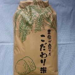 白米 10㎏ 2024年産 ★はれわたり★ お米  の画像