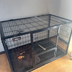 犬用品セット