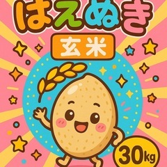 今日のみ！令和6年はえぬき玄米30キロ