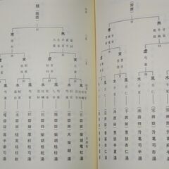 易卦応用 中国易医漢方術 -六十四卦による四診と治療方剤-　佐藤六龍の画像