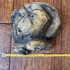 エキゾテラ　　シェルター　小の画像