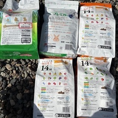 うさぎご飯などの画像