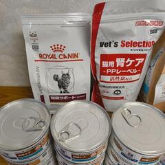 猫用　腎臓食の画像