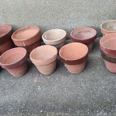 無料　小さめ陶器の植木鉢