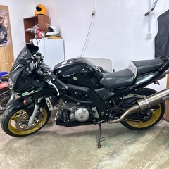 SV1000S