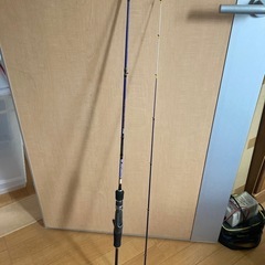 釣竿　イカメタル　ソルパラ