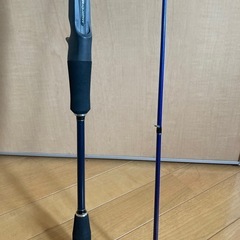 釣竿　イカメタル　ソルパラの画像