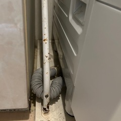洗濯機上収納の画像