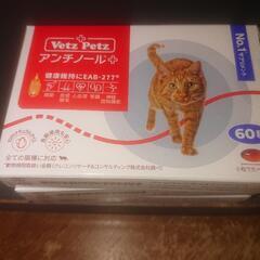 アンチノール 猫用 60錠