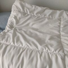 【引き取りきてくださる方】シングル掛け布団の画像
