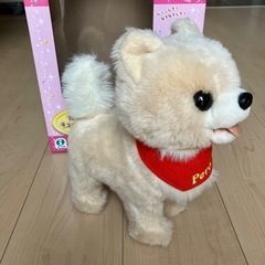 だっこでペロ　キュートなポメちゃんの画像