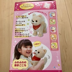 だっこでペロ　キュートなポメちゃんの画像