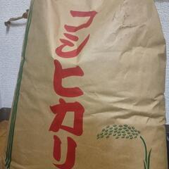 玄米　コシヒカリ　5kg