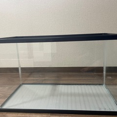 NISSO 60cm 水槽 ガラス  メダカ 金魚 熱帯魚の画像