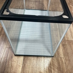 NISSO 60cm 水槽 ガラス  メダカ 金魚 熱帯魚の画像