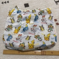 ポケモン　ポーチ、エコバッグ未使用の画像