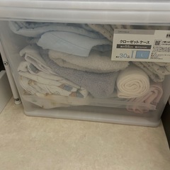 ニトリ　クローゼットケースLの画像