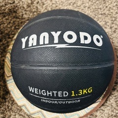 YANYODO  バスケット　ウエイトトレーニングボール
