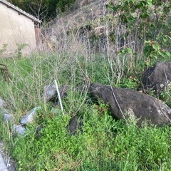 【無料】庭石・墓石 引き取り希望者募集（大小さまざま／自己運搬の画像