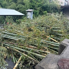 竹　くぬぎ　木材