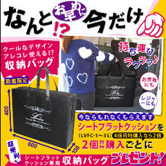 シートフラットクッションの画像