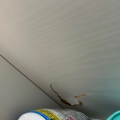 ニトリ 食器棚の画像