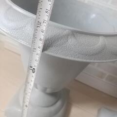 観葉植物鉢の画像