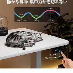 (美品)電動昇降デスク ホワイト:お受け渡し5月下旬の画像