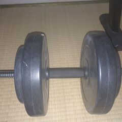 インクラインベンチとダンベル17.5kg（可変式）のセットの画像