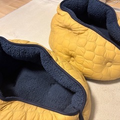 猫　ベット
の画像