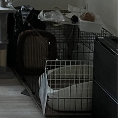 猫犬用ケージ　サークル　コンビネーションサークル　1段