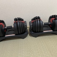 可変式ダンベル2個