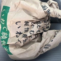令和6年度産　米　ササニシキ　5kg～8kg