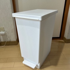 ニトリ　ペダルつきゴミ箱　４５Ｌ
の画像
