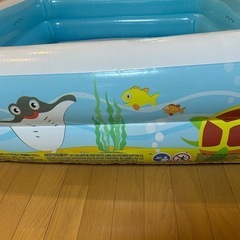 ビニールプール➕電動空気入れの画像
