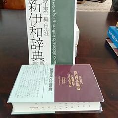 伊和辞典（イタリア語）1995年　白水社