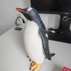 ジェンツーペンギンぬいぐるみ