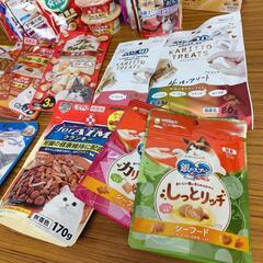 キャットフード①の画像