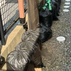 庭の土に混ざっていた小石や砂利
