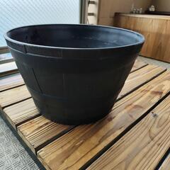 メダカ　鉢