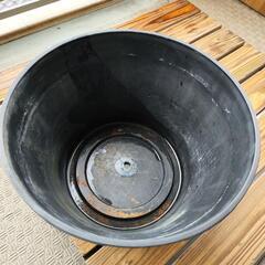 メダカ　鉢の画像