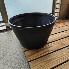 メダカ　鉢の画像