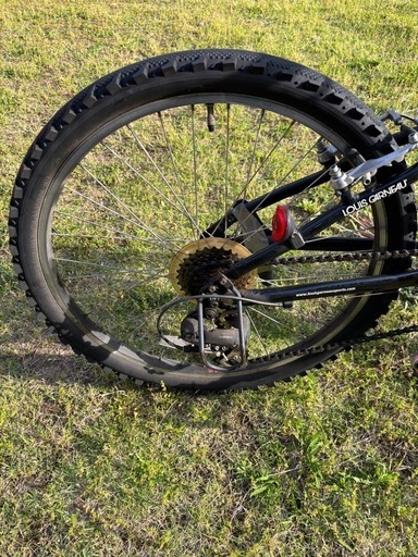 ルイガノ　24インチ　子ども用　自転車　黒 ルイガノ 「ルイガノ」J24-AK 24インチ 21段変速 子供用 自転車