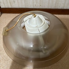 蛍光灯 他