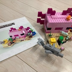 LEGO Minecraftウーパールーパーハウス　21247の画像