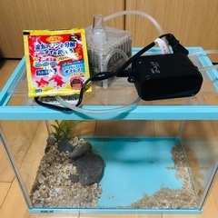 小型水槽とポンプ