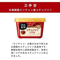 O’Food スンチャン コチュジャン 300g 韓国調味料 韓国食品 業務用 調味料 ボトルタイプ 고추장 gochujang 新品未開封の画像