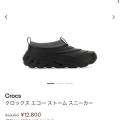 クロックス　エコーストーム