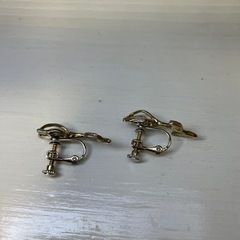 イヤリングの画像