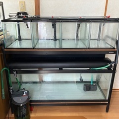 水槽セット